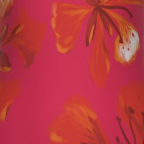 Bikini - KASS KOLÉ - Imprimé Signature
