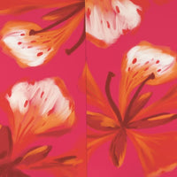 Red Flamboyants
