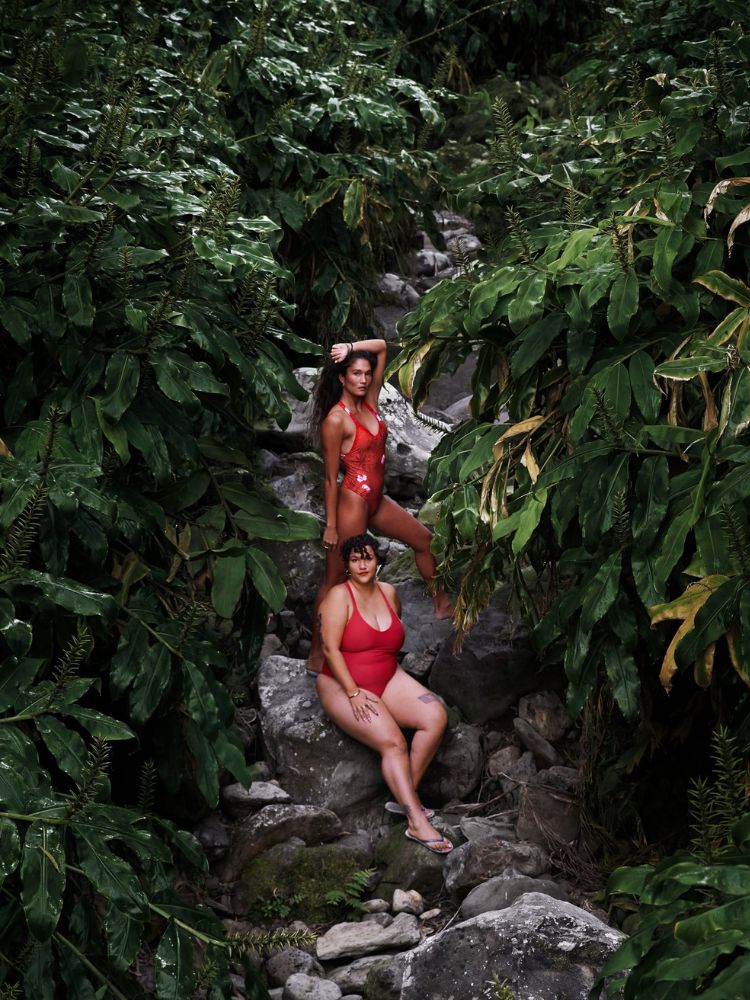 Red Flamboyants