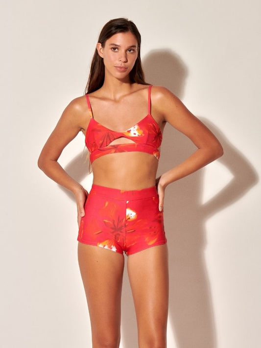 Red Flamboyants