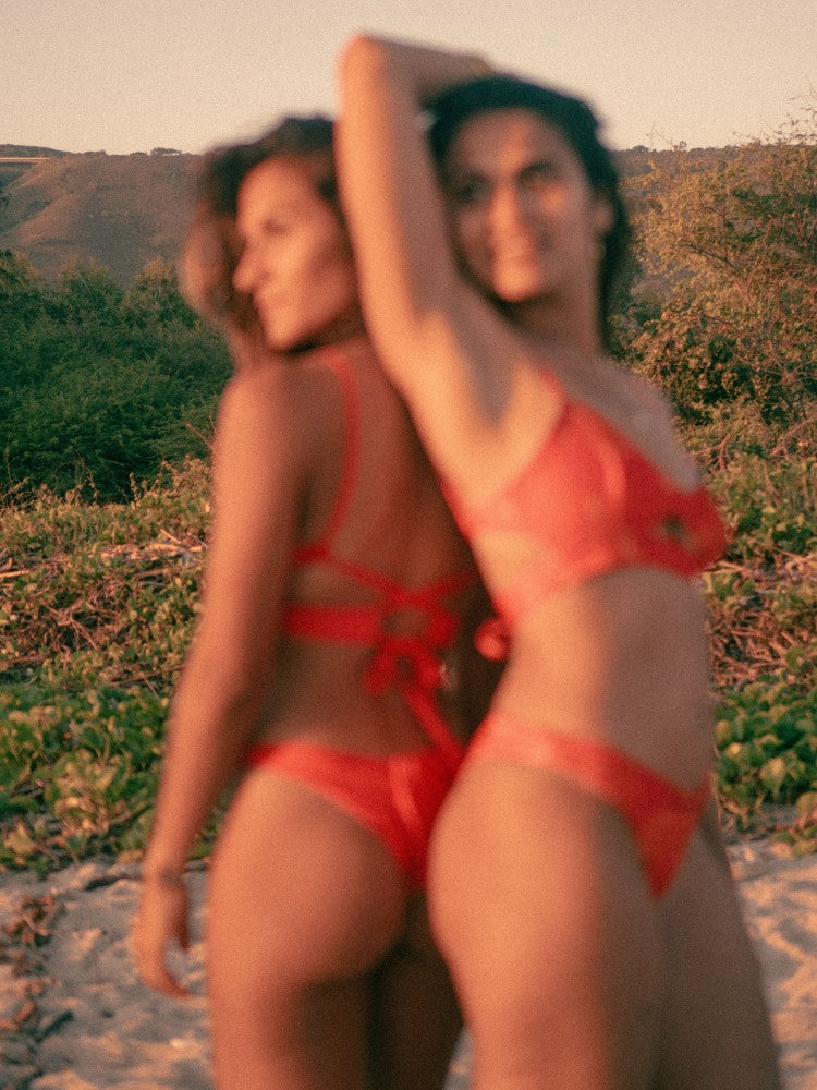 Red Flamboyants